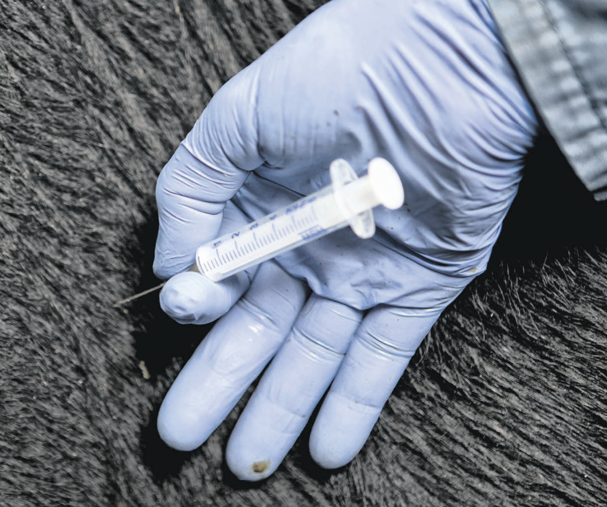 Hvor godt beskytter vaccination mod Rotavirus A?